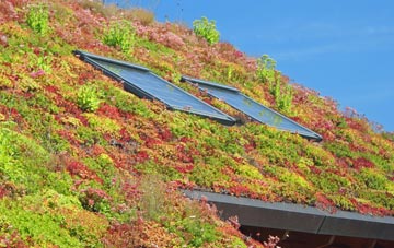Cwmerfyn living roof systems