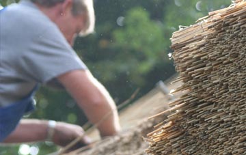 professional Cwmerfyn thatchers